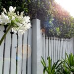 Palissade blanche devant un jardin potager
