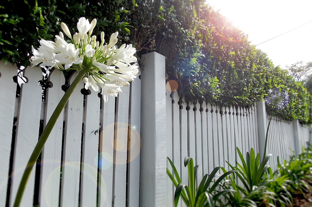 Palissade blanche devant un jardin potager