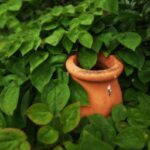 Un pot en céramique entouré de feuilles vertes dans un jardin
