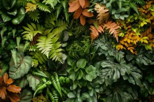 creez-un-herbier-familial