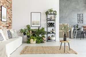 Comment intégrer des plantes dans sa déco ?