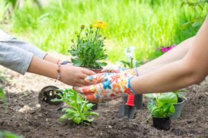 Aide en ligne : le guide pour trouver et proposer des services entre particuliers
